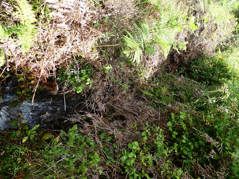 04.07.2018 Rundwanderung entlang und um die Levada dos Marinheiros — Aufstieg zur Kreuzung mit der Schotterpiste — Foto 3