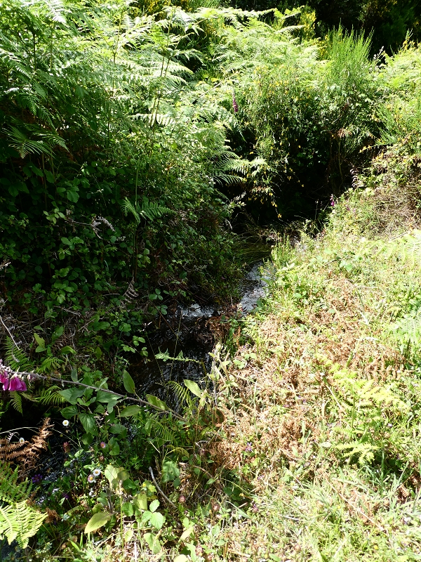 04.07.2018 Rundwanderung entlang und um die Levada dos Marinheiros — Aufstieg zur Kreuzung mit der Schotterpiste — Foto 4