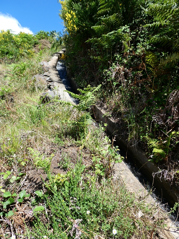 Levada dos Marinheiros — Continua a céu aberto — foto 2