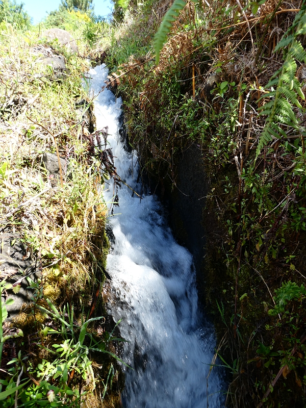 Levada dos Marinheiros — Continua a céu aberto — foto 5