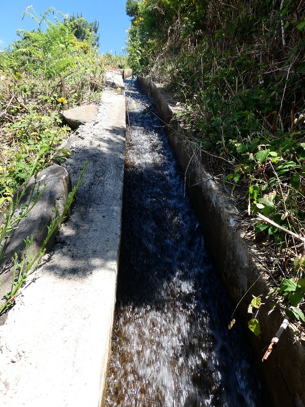04.07.2018 Rundwanderung entlang und um die Levada dos Marinheiros — Aufstieg zur Kreuzung mit der Schotterpiste — Foto 12