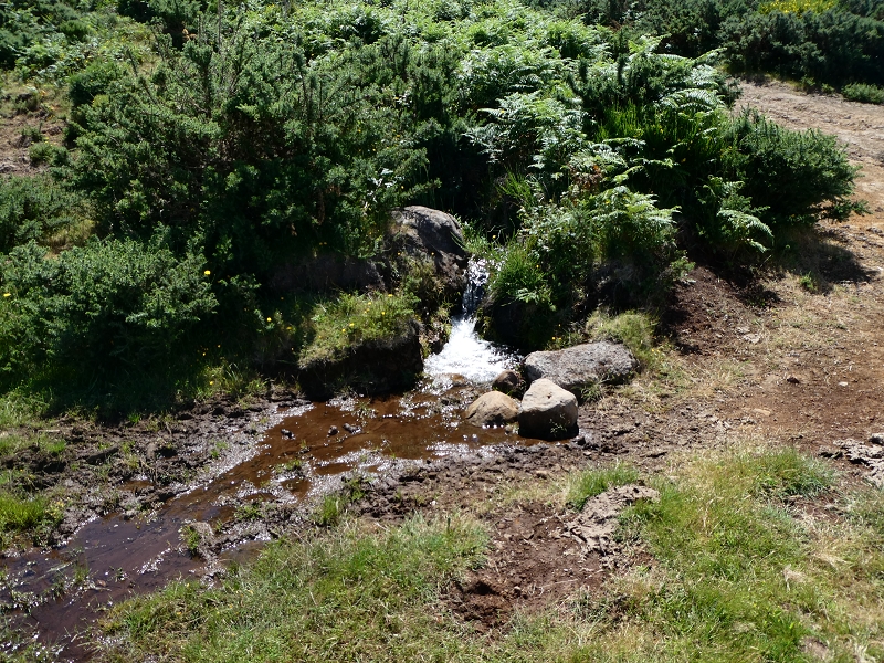 Levada dos Marinheiros — Cruzamento com a pista de gravilha — foto 1