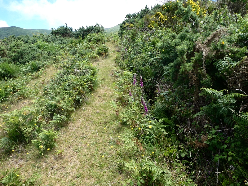 Levada dos Marinheiros — Depois no feto — foto 1