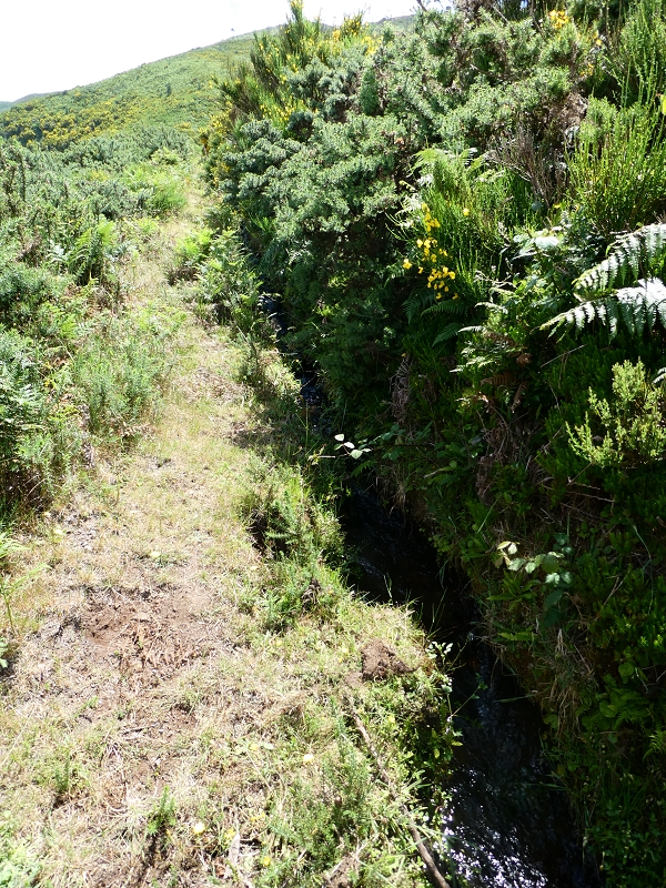 Levada dos Marinheiros — Depois no feto — foto 3