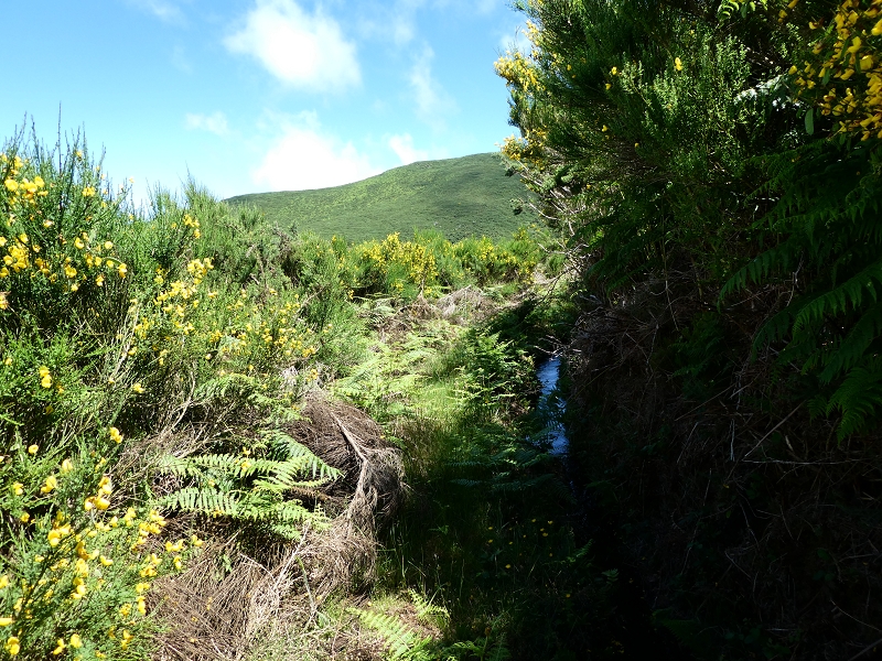 Levada dos Marinheiros — Depois na giesta — foto 5