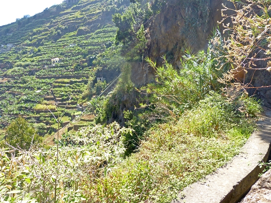 04.08.2013 Levadas dos Piornais und da Faja — Vom Kraftwerk auf und ab zur Levada da Faja und Begehung über Mauerpassagen zum Weiler und zurück — Foto 11