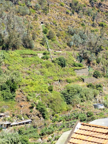 04.08.2013 Levadas dos Piornais und da Faja — Zurück auf der Levada dos Piornais — Foto 1