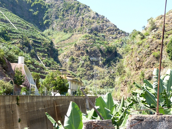 04.08.2013 Levadas dos Piornais und da Faja — Zurück auf der Levada dos Piornais — Foto 2
