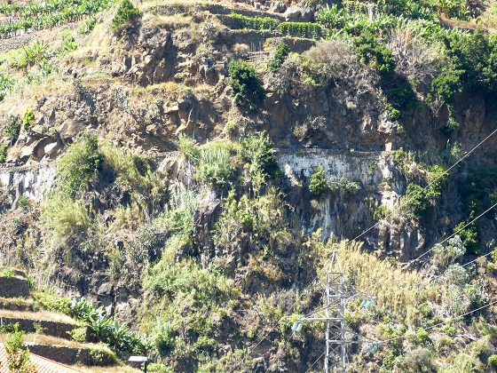 04.08.2013 Levadas dos Piornais und da Faja — Zurück auf der Levada dos Piornais — Foto 3