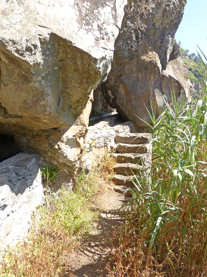 04.08.2013 Levadas dos Piornais und da Faja — Zurück auf der Levada dos Piornais — Foto 6