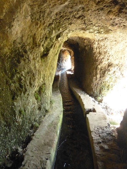 04.08.2013 Levadas dos Piornais und da Faja — Zurück auf der Levada dos Piornais — Foto 7