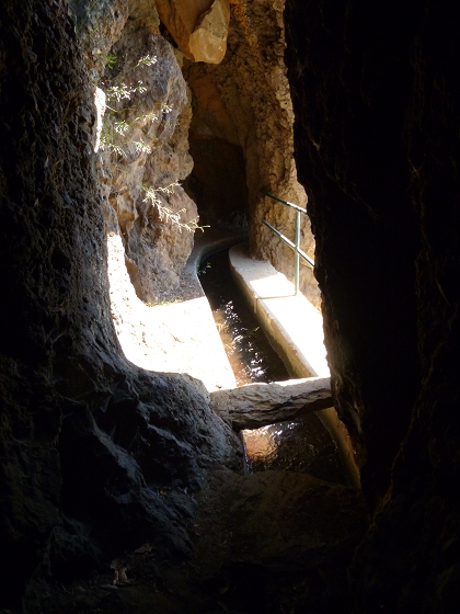 04.08.2013 Levadas dos Piornais und da Faja — Zurück auf der Levada dos Piornais — Foto 10