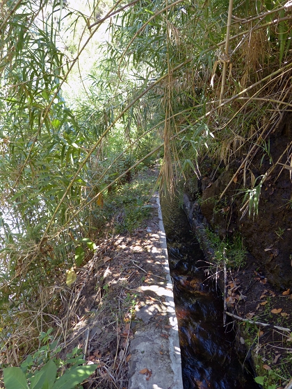 Levada dos Piornais — Até ao primeiro caminho de acesso e à ponte — foto 10