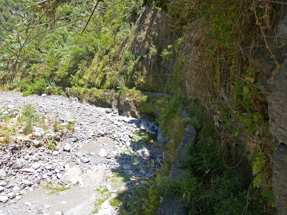 Levada dos Piornais — Até ao primeiro caminho de acesso e à ponte — foto 9