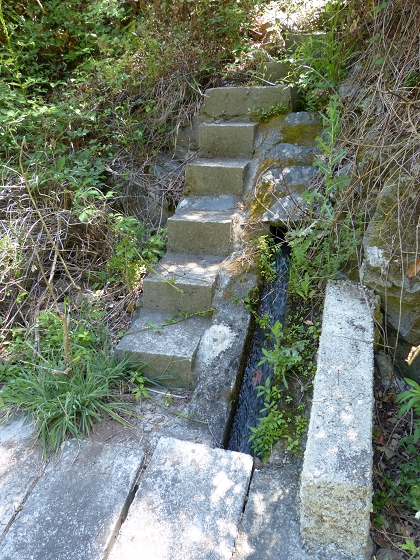 Levada dos Piornais — Até ao segundo caminho de acesso — foto 3