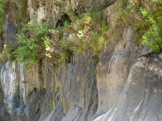 Levada dos Piornais — Até ao segundo caminho de acesso — foto 5
