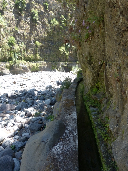 04.08.2013 Levadas dos Piornais und da Faja — Auf der Levada da Faja zwischen Madre und Wasserfallstelle und auf und ab auf dem 1. und 2. Zugangspfad — Foto 2