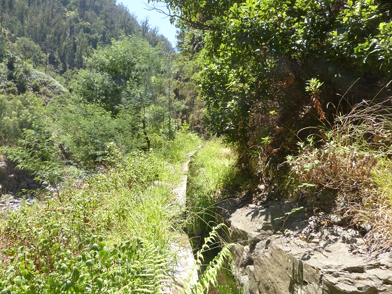 04.08.2013 Levadas dos Piornais und da Faja — Auf der Levada da Faja zwischen Madre und Wasserfallstelle und auf und ab auf dem 1. und 2. Zugangspfad — Foto 5