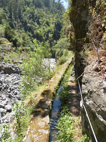 04.08.2013 Levadas dos Piornais und da Faja — Auf der Levada da Faja zwischen Madre und Wasserfallstelle und auf und ab auf dem 1. und 2. Zugangspfad — Foto 6