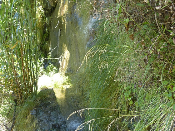 04.08.2013 Levadas dos Piornais und da Faja — Auf der Levada da Faja zwischen Madre und Wasserfallstelle und auf und ab auf dem 1. und 2. Zugangspfad — Foto 13