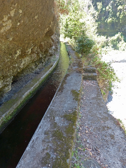 Levada dos Piornais — Até ao segundo caminho de acesso — foto 12