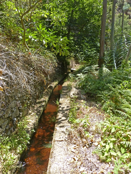 Levada dos Piornais — Até ao portão verde fechado — foto 1