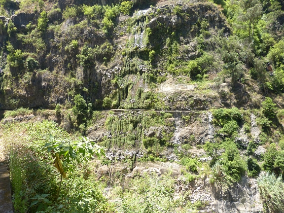 Levada dos Piornais — Até ao portão verde fechado — foto 3