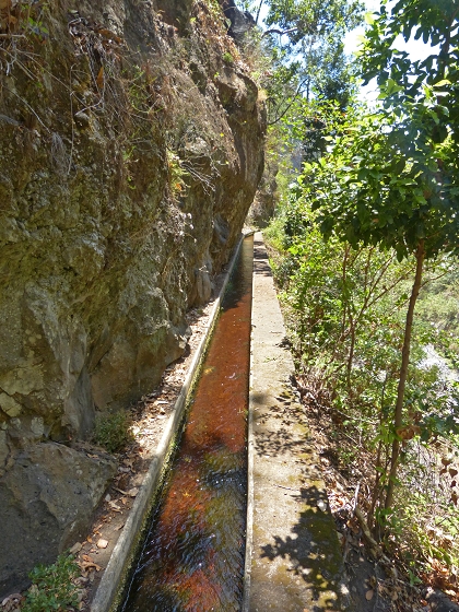Levada dos Piornais — Até ao portão verde fechado — foto 4