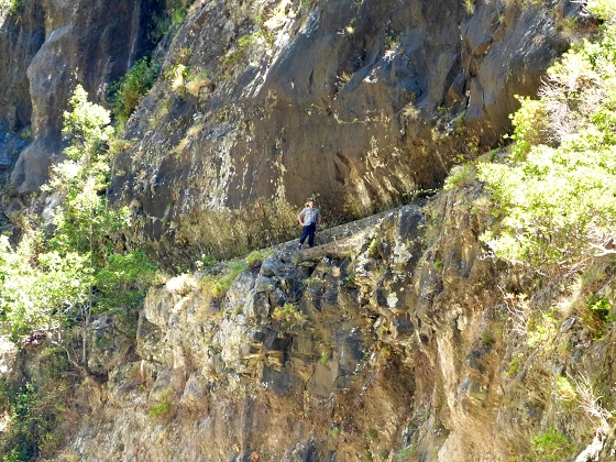 Levada dos Piornais — Até ao segundo caminho de acesso — foto 13