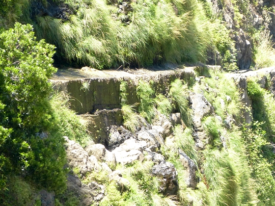 04.08.2013 Levadas dos Piornais und da Faja — Auf der Levada da Faja zwischen Madre und Wasserfallstelle und auf und ab auf dem 1. und 2. Zugangspfad — Foto 21