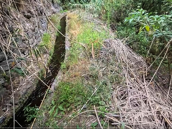 Levada dos Piornais — Até ao primeiro caminho de acesso e à ponte — foto 1