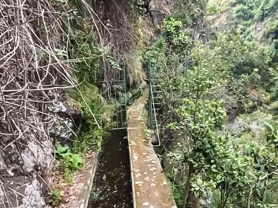 Levada dos Piornais — Até ao segundo caminho de acesso — foto 7