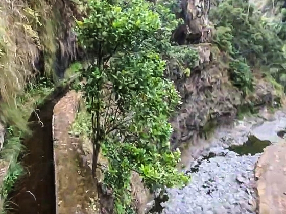 Levada dos Piornais — Até ao segundo caminho de acesso — foto 8