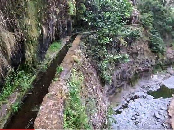 Levada dos Piornais — Até ao segundo caminho de acesso — foto 9
