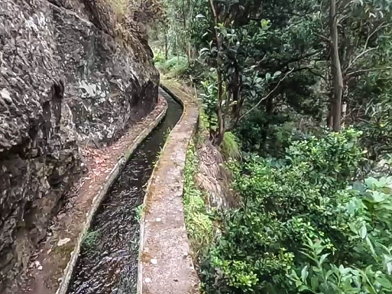 Levada dos Piornais — Até ao segundo caminho de acesso — foto 14