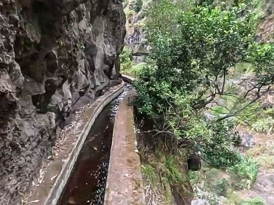 Levada dos Piornais — Até ao portão verde fechado — foto 5