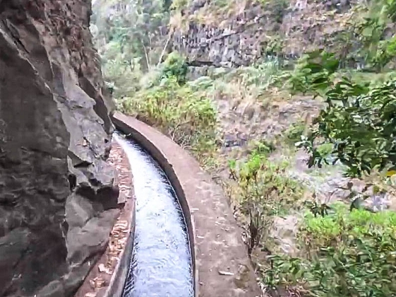 Levada dos Piornais — Até ao portão verde fechado — foto 6