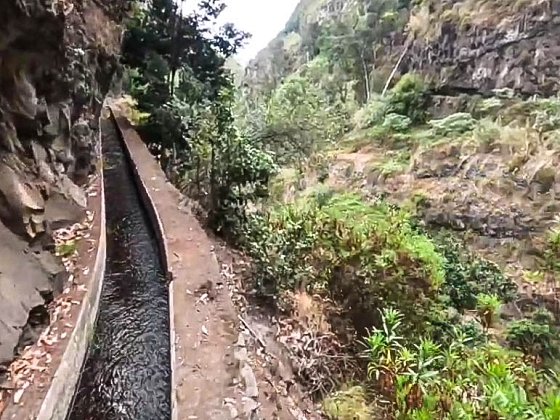 Levada dos Piornais — Até ao portão verde fechado — foto 7