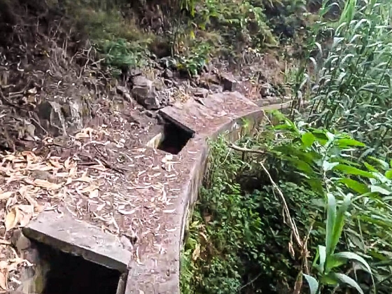 Levada dos Piornais — Até ao portão verde fechado — foto 8