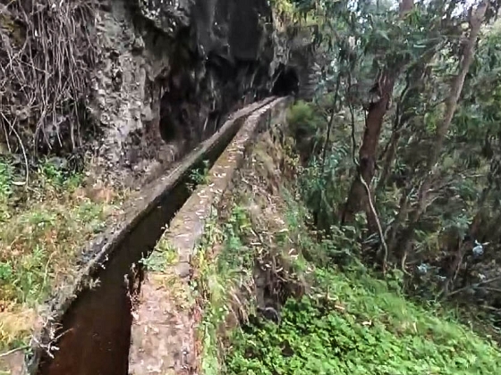Levada dos Piornais — Até ao portão verde fechado — foto 9