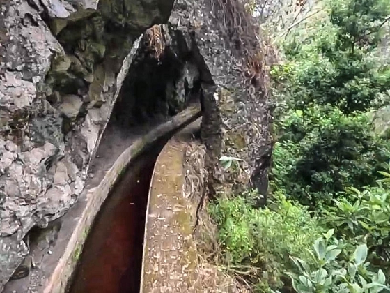 Levada dos Piornais — Até ao portão verde fechado — foto 10