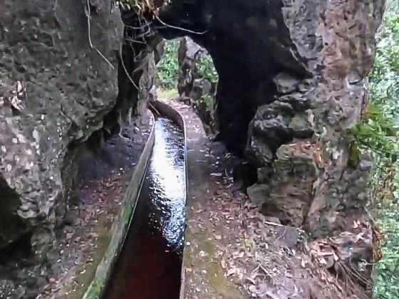 Levada dos Piornais — Até ao portão verde fechado — foto 11