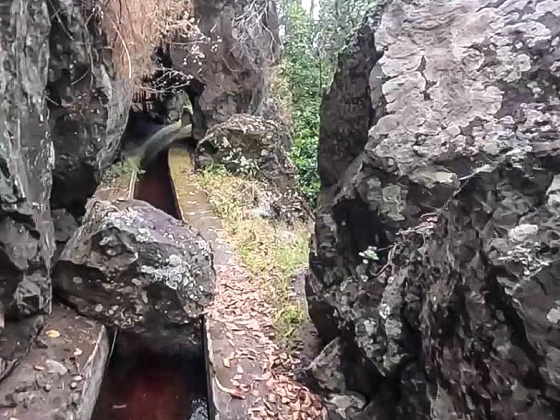 Levada dos Piornais — Até ao portão verde fechado — foto 12
