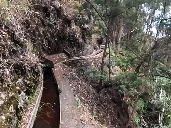 Levada dos Piornais — Até ao portão verde fechado — foto 13