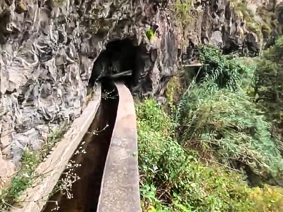 Levada dos Piornais — Até ao portão verde fechado — foto 17