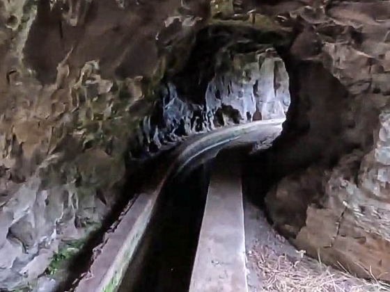 Levada dos Piornais — Até ao portão verde fechado — foto 18