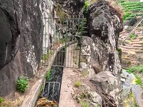 Levada dos Piornais — Até ao portão verde fechado — foto 30