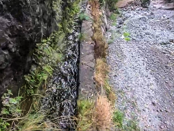 Levada dos Piornais — Até ao primeiro caminho de acesso e à ponte — foto 5