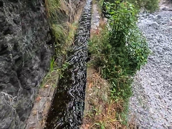 Levada dos Piornais — Até ao primeiro caminho de acesso e à ponte — foto 6
