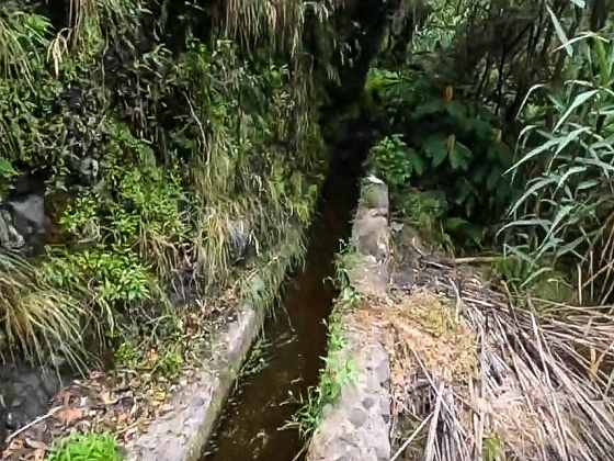 Levada dos Piornais — Até ao primeiro caminho de acesso e à ponte — foto 7